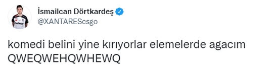 电竞职业道路的挑战与机遇